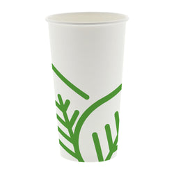 White 20 oz Compostable PLA Lined Cups