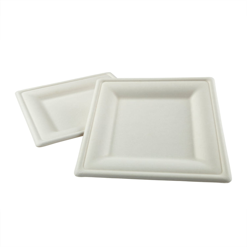 10" Square Plates, Two Plates Stacked