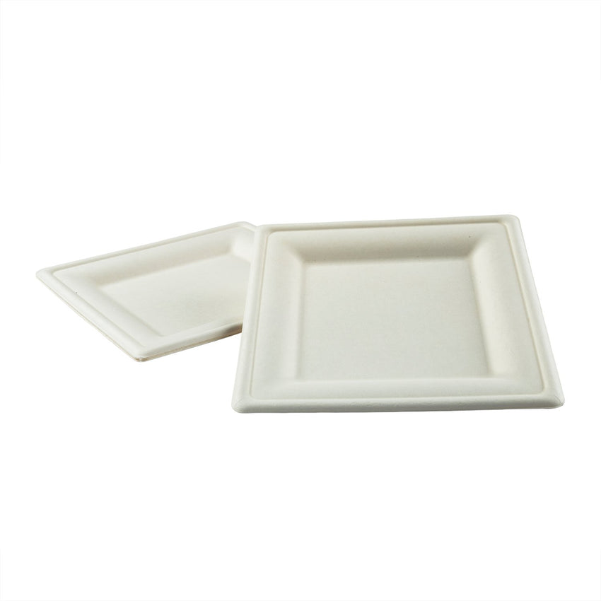 8" Square Plates, Two Plates Stacked
