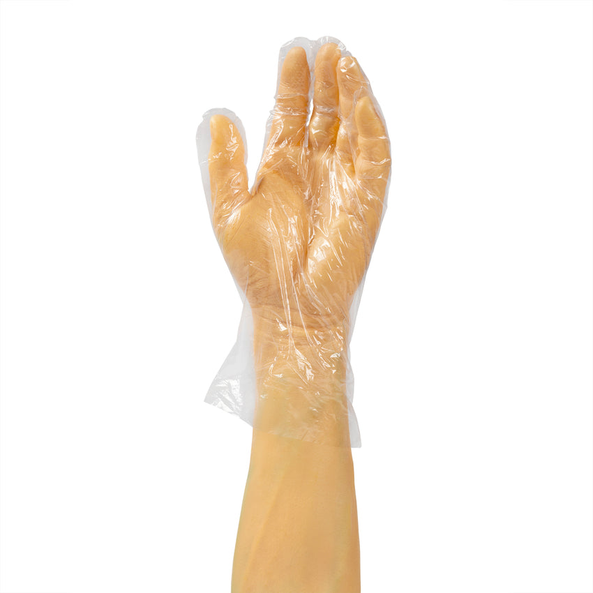 Glove FS LDPE, Case 500x20